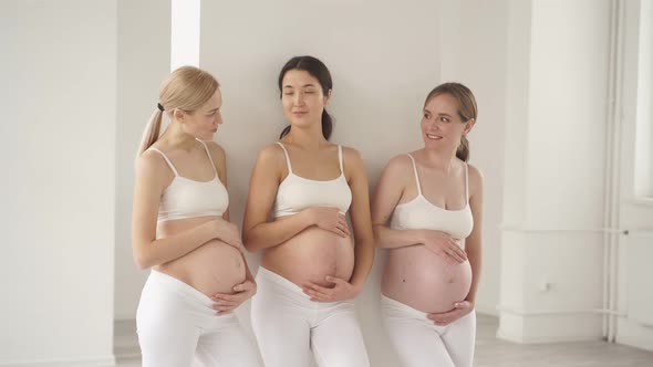 Happy Future Mothers Stand Having Talks Sharing News About Pregnancy