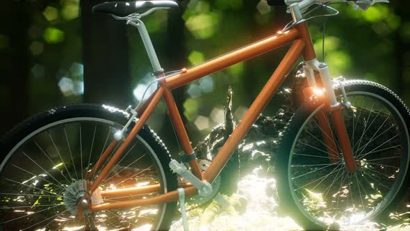 Mountain Bike on the Forest Path