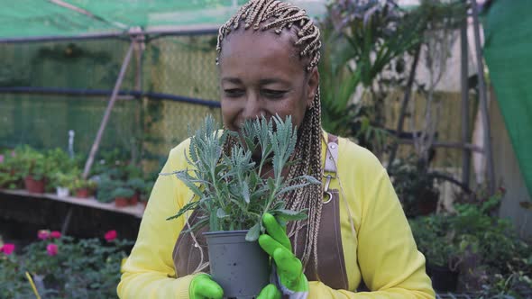 Happy Afro woman gardener working in flower garden shop