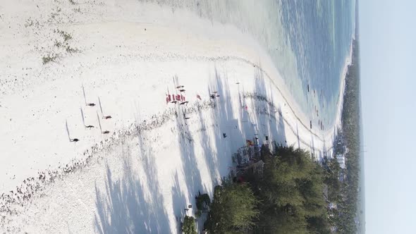 Vertical Video of the Beach on Zanzibar Island Tanzania Aerial View