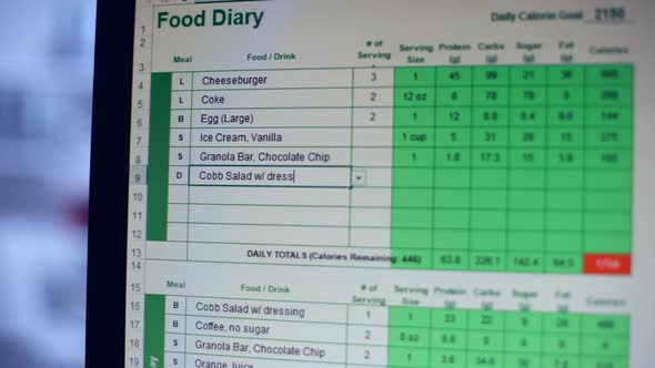 Suffering From Anorexia Person Keeping Online Food Diary, Counting Calories