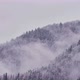The Fog Spills Through the Spruce Forest - VideoHive Item for Sale