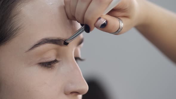 Closeup of Process of Drawing Client's Eyebrows in Beauty Salon