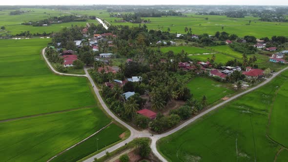 Aerial view Malays traditional village