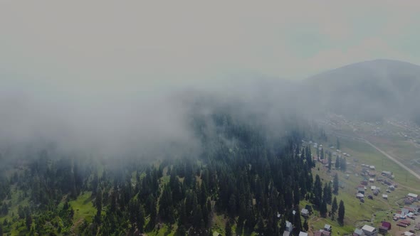 Cloud and forest aerial view