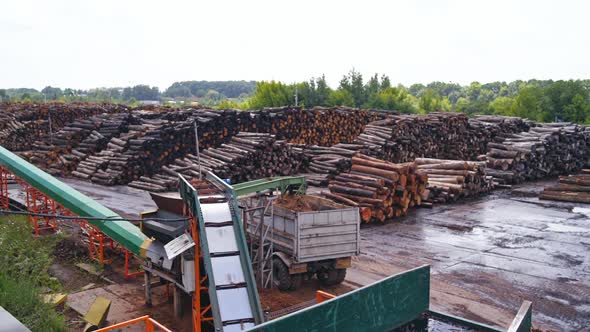 Wood working industry. Stock with logs. Sawmill. Process of machining logs on a conveyor.