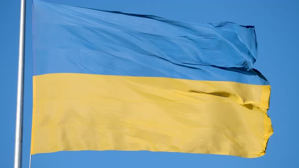 Ukraine national flag is waving in wind against cloudy sky. Flag of Ukraine on flagpole is flapping