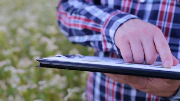 A young farmer working in a buckwheat field is looking at a profit growth chart in agribusiness.