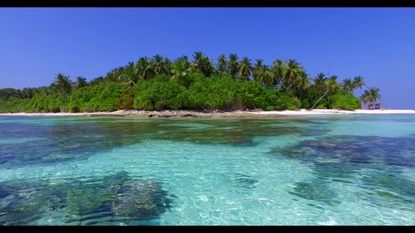 Aerial drone shot seascape of luxury shore beach adventure by aqua blue water and white sand backgro