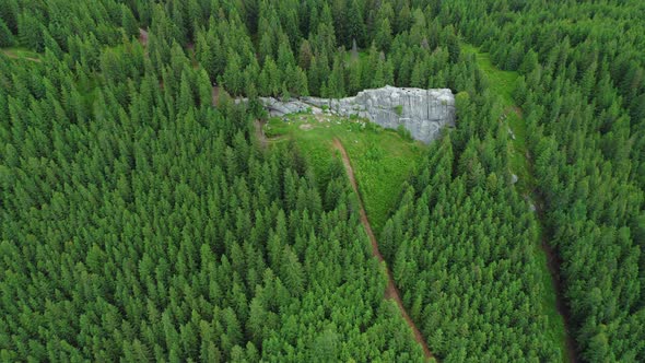 Aerial View of a Big Stone Slab on a Mountain Slope Forest