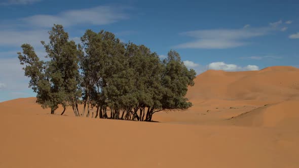 erg chebbi dune sand sahara desert morocco merzouga