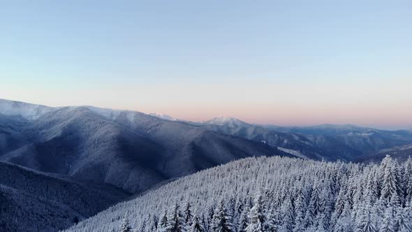 Aerial View of Winter Forest in Mountain Valley