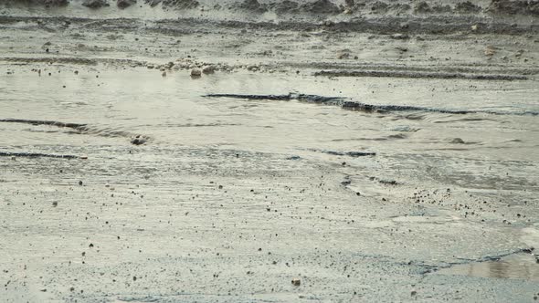 Rough Potholes After Rain Badly Damaged Road Infrastructure