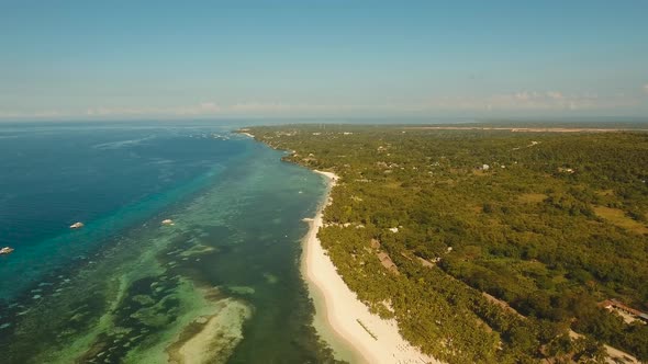 Tropical Beach and Turquoise Sea Philippines,Bohol