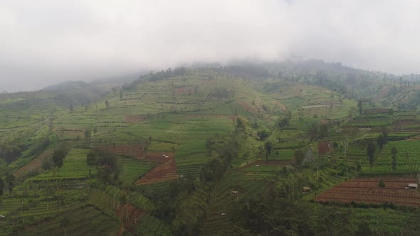 Tropical Landscape with Farmlands in Mountains