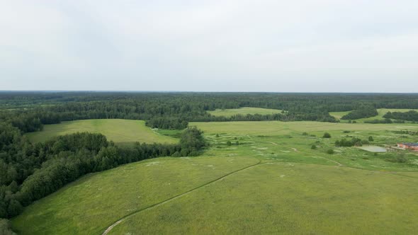 Field with Lake Trees Shot on a Drone