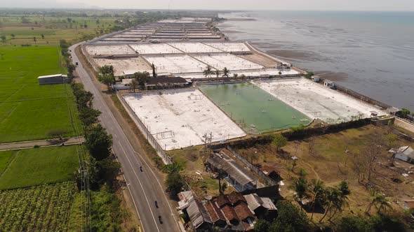 Shrimp Farming in Indonesia