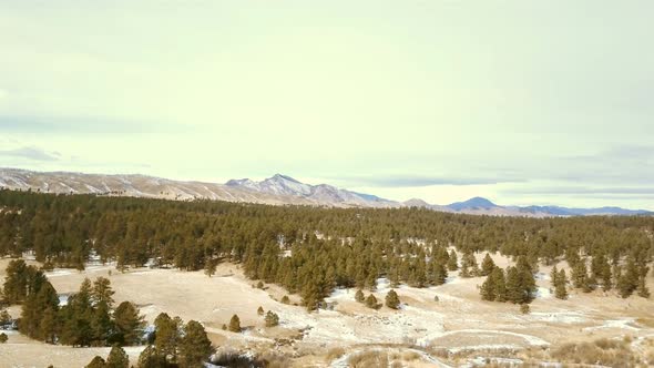 Aerial view of Pikes National Forest in the Winter