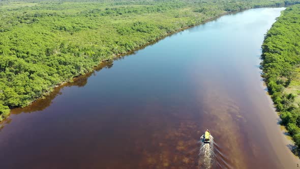 Amazon Rainforest natural landscape. Amazon river scene.