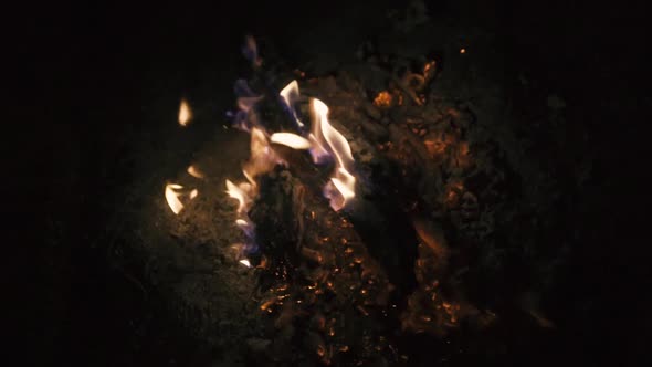 Burn Fire with Wood on Beach or Mountain Camp