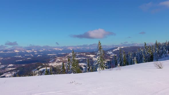 Unusual Landscapes of the Carpathian Mountains and Snowcovered Forests and a Ski Trail