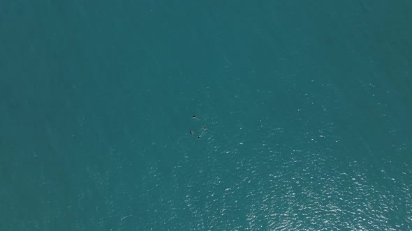 Swimming Overhead Drone