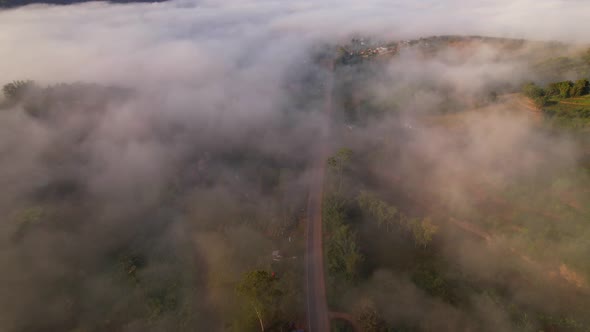 4K High mountain road in fog. Tropical forest with smoke and fog. Aerial view from drone