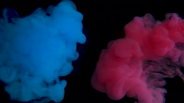 Real Shot Blue and Red Paint in Water. Ink Swirling Underwater. Cloud of Ink Collision Isolated