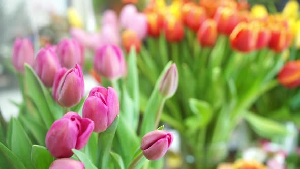 Beautiful Flowers In Florists