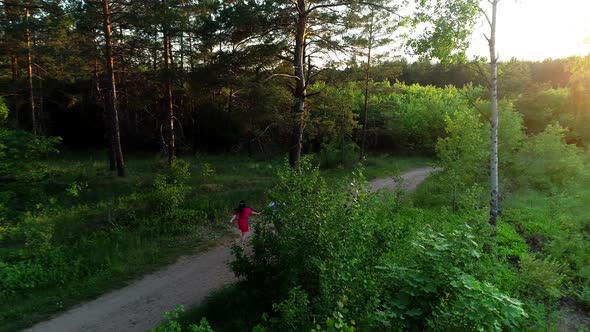 a Couple Walks in the Woods. the View From the Top