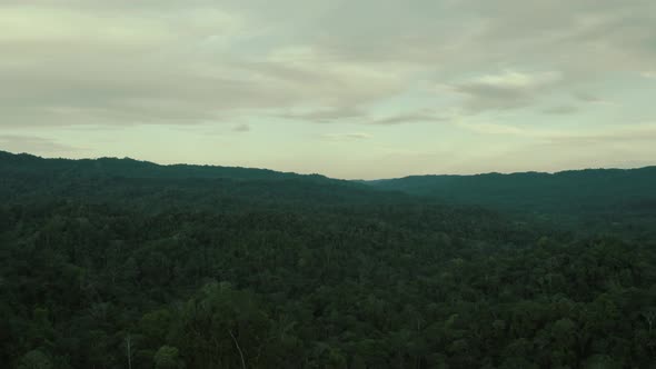 A beautiful sky above a tropical forest canopy just before sunset