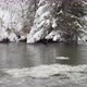 Forest River Coast Covered with Fall White Snow - VideoHive Item for Sale