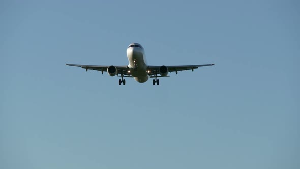 Passenger Airplane Landing at Airport 