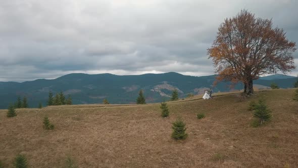 Aerial View of Lovely Young Newlyweds Bride Groom Walking on Mountain Slope Wedding Couple Family