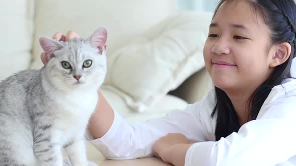 Cute Asian Child Playing With Scottish Kitten Together