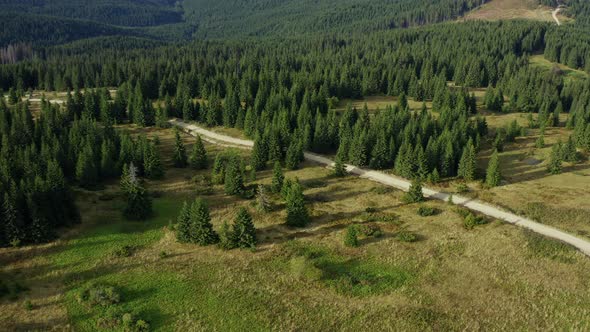 Road in Rocky Forest Aerial View Warm Sunny Summer Day Green Spruces Background