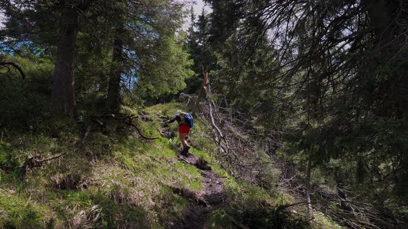 Tourist girl ascending on the hiking trail in the forest in Slovakia mountains national park, static