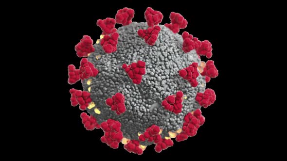 Seamless Loop of a Coronavirus Viron With Transparent Background alt