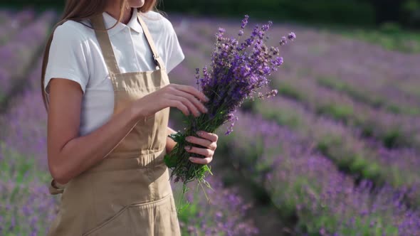 Unrecognizable Girl Collecting Lavender Flowers in Field