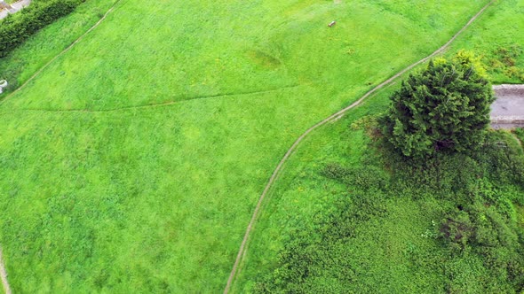 Aerial View of Raheen-a-Cluig Medieval Church in Bray, County Wicklow, Ireland