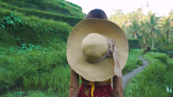 Traveling on the Bali island