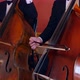 Symphony Orchestra with Performers Playing Double Basses - VideoHive Item for Sale