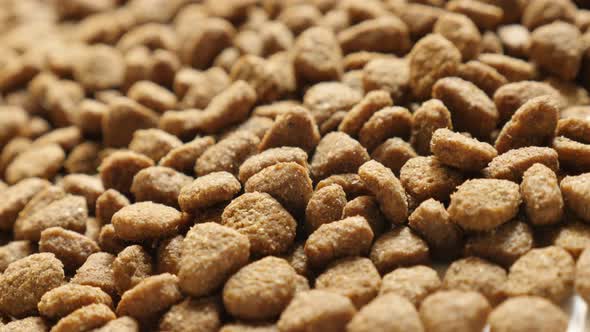 Cat or dog pellets close-up 4K 2160p 30fps UltraHD tilting footage - Pile of dry food for animals sl