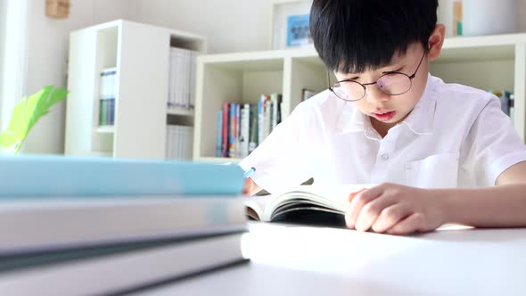 Boy concentrating on books, reading and studying