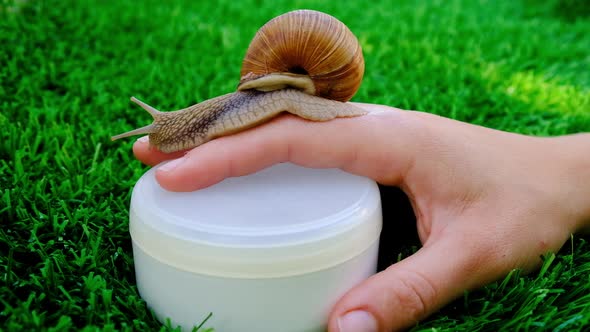 Snail Mucinbased Cosmeticshand Cream Beauty Skin Care