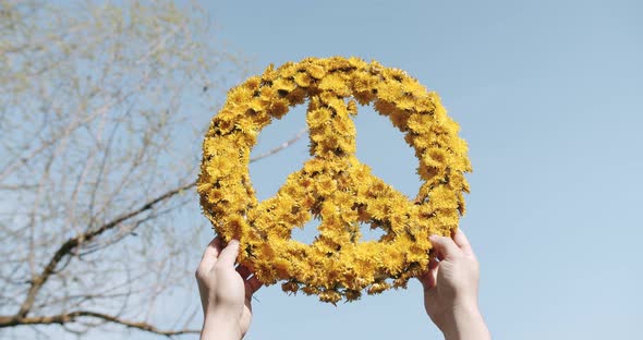 Man's hand hold The symbol of peace handmade from yellow dandelion flowers on a blue sky background.