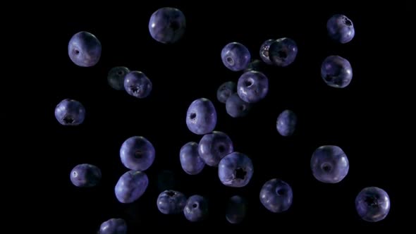 Large Juicy Delicious Blueberries Are Bouncing Up on the Black Background