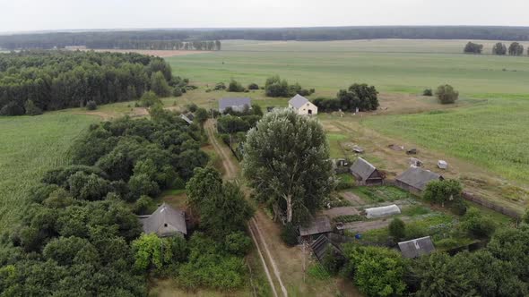 Drone Shooting of a Beautiful Summer Landscape with Fields and Forests and Village with a Country