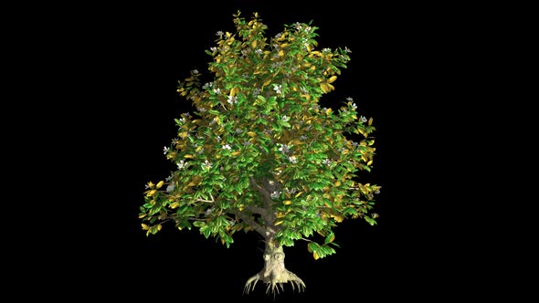 Fairy Tree With Flowers alt