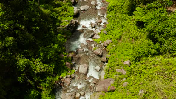 Mountain River in the Rainforest Philippines Camiguin